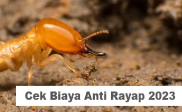 ~blog/2023/3/15/harga anti rayap terbaru 2023