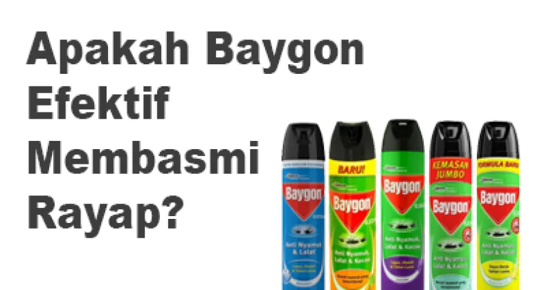 Apakah Baygon Efektif Membasmi Rayap?