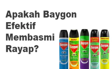 ~blog/2023/3/6/apakah baygon efektif membasmi rayap