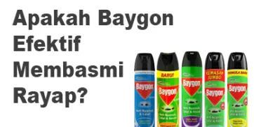 Apakah Baygon Efektif Membasmi Rayap