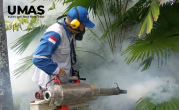 ~blog/2023/4/10/jasa pest control bali