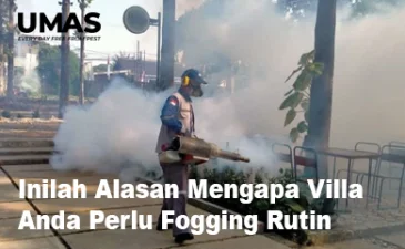 ~blog/2023/4/18/jasa pest control tangerang