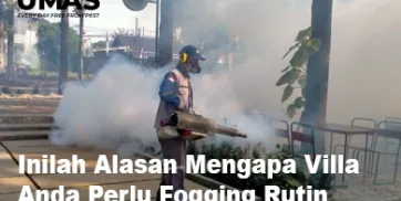 Manfaat Fogging Agar Pengunjung VIlla Terbebas Gangguan Nyamuk 