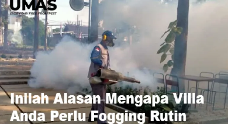 Manfaat Fogging Agar Pengunjung VIlla Terbebas Gangguan Nyamuk 