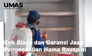 ~blog/2023/4/19/jasa pest control jakarta selatan