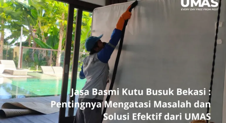 Jasa Basmi Kutu Busuk Bekasi : Pentingnya Mengatasi Masalah dan Solusi Efektif dari UMAS