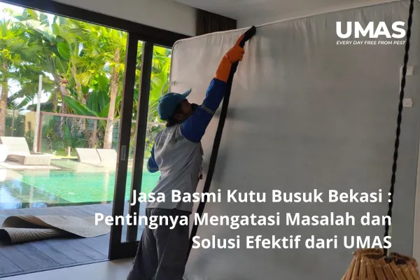 Mengenal Solusi Efektif Atasi Bau Busuk dalam Budidaya Lele Bioflok Mengenal Solusi Efektif Atasi Bau Busuk dalam Budidaya Lele Bioflok