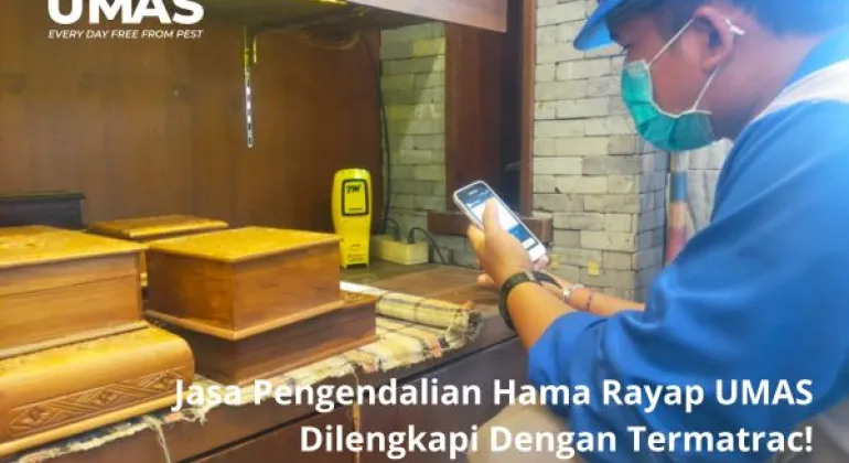 Jasa Pengendalian Hama Rayap UMAS Dilengkapi Dengan Termatrac!