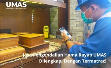 ~blog/2023/4/25/jasa pengendalian hama rayap