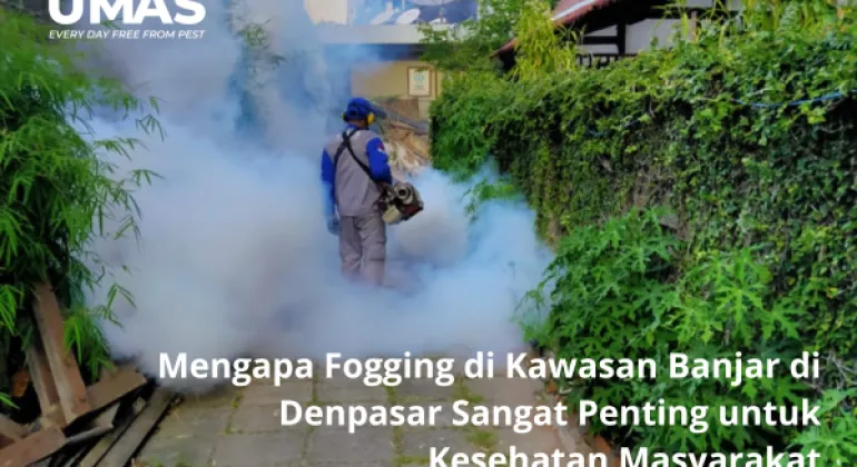 Mengapa Fogging di Kawasan Banjar di Denpasar Sangat Penting untuk Kesehatan Masyarakat