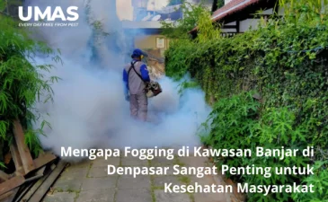 ~blog/2023/4/26/jasa pest control denpasar