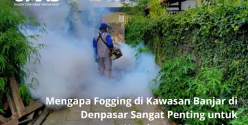 Mengapa Fogging di Kawasan Banjar di Denpasar Sangat Penting untuk Kesehatan Masyarakat