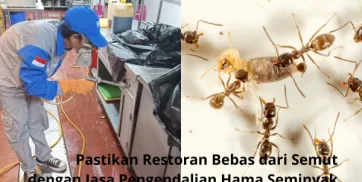 Pastikan Restoran Bebas dari Semut dengan Jasa Pengendalian Hama Seminyak