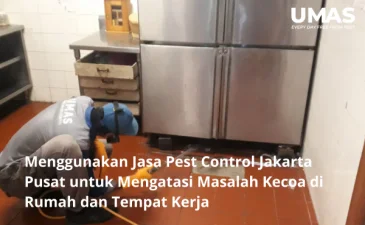 Menggunakan Jasa Pest Control Jakarta Pusat untuk Mengatasi Masalah Kecoa di Rumah dan Tempat Kerja