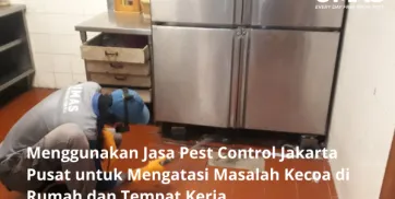 Menggunakan Jasa Pest Control Jakarta Pusat untuk Mengatasi Masalah Kecoa di Rumah dan Tempat Kerja