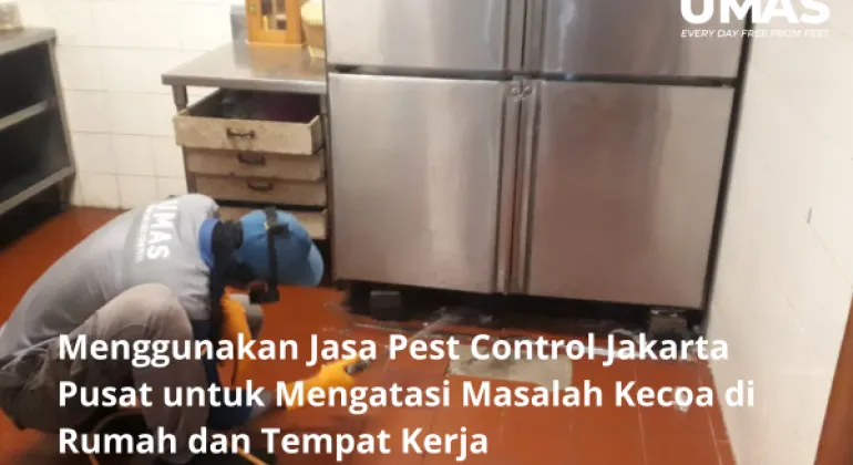 Menggunakan Jasa Pest Control Jakarta Pusat untuk Mengatasi Masalah Kecoa di Rumah dan Tempat Kerja