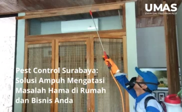 Jasa Pengendalian Hama Surabaya Solusi Ampuh Mengatasi Masalah Hama di Rumah dan Bisnis Anda