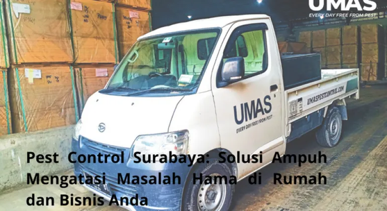 Penasaran Gimana UMAS Bikin Tikus Kabur dari Gudang? Yuk Baca!