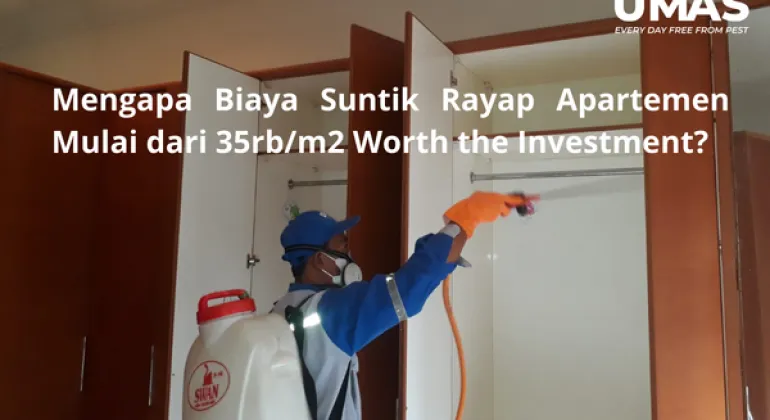 Mengapa Biaya Suntik Rayap Apartemen Mulai dari 35rb/m2 Worth the Investment?