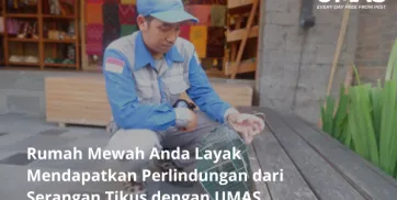 Rumah Mewah Anda Layak Mendapatkan Perlindungan dari Serangan Tikus dengan UMAS