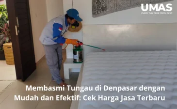 Membasmi Tungau di Denpasar dengan Mudah dan Efektif Cek Harga Jasa Terbaru