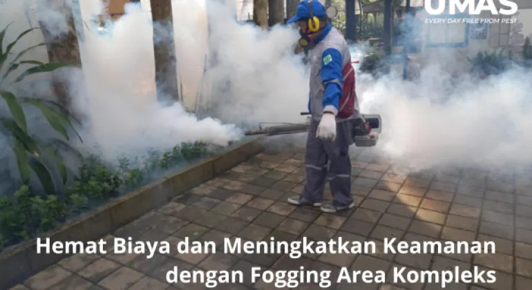 Hemat Biaya dan Meningkatkan Keamanan dengan Fogging Area Kompleks