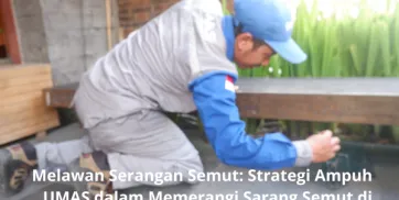 Melawan Serangan Semut Strategi Ampuh UMAS dalam Memerangi Sarang Semut di Restoran Anda