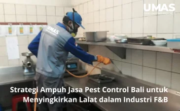 Strategi Ampuh Jasa Pest Control Bali untuk Menyingkirkan Lalat dalam Industri FB