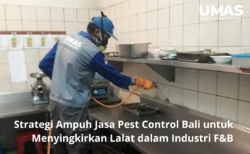 ~blog/2023/5/19/jasa pest control bali