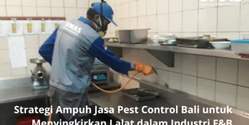 Strategi Ampuh Jasa Pest Control Bali untuk Menyingkirkan Lalat dalam Industri FB