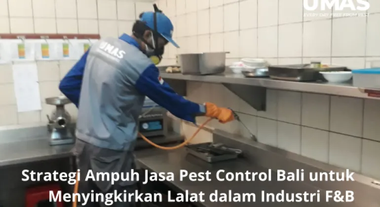 Strategi Ampuh Jasa Pest Control Bali untuk Menyingkirkan Lalat dalam Industri F&B