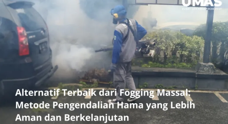 Alternatif Terbaik dari Fogging Massal: Metode Pengendalian Hama yang Lebih Aman dan Berkelanjutan