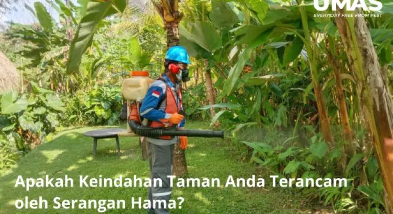 Apakah Keindahan Taman Anda Terancam oleh Serangan Hama?