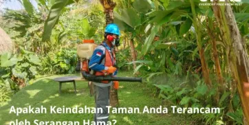 Apakah Keindahan Taman Anda Terancam oleh Serangan Hama