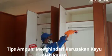 Tips Ampuh Menghindari Kerusakan Kayu oleh Rayap