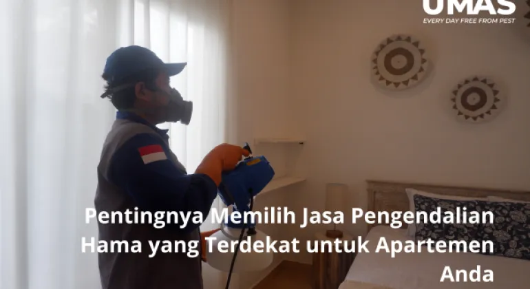 Pentingnya Memilih Jasa Pengendalian Hama yang Terdekat untuk Apartemen Anda