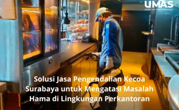 Solusi Jasa Pengendalian Kecoa Surabaya untuk Mengatasi Masalah Hama di Lingkungan Perkantoran