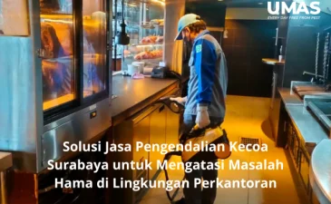 ~blog/2023/5/5/jasa pengendalian kecoa surabaya