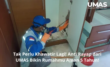 ~blog/2023/5/8/jasa anti rayap jimbaran