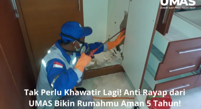 Jasa Anti Rayap Jimbaran dari UMAS Bikin Rumahmu Aman 5 Tahun!