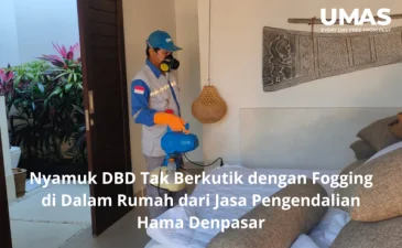 ~blog/2023/5/9/jasa pengendalian hama denpasar