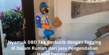 Nyamuk DBD Tak Berkutik dengan Fogging di Dalam Rumah dari Jasa Pengendalian Hama Denpasar