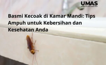 ~blog/2023/6/10/tambahkan judul 56