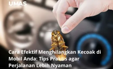 ~blog/2023/6/14/cara efektif menghilangkan kecoak di mobil anda tips praktis agar perjalanan lebih nyaman