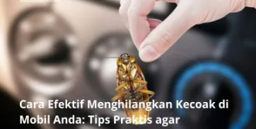 Cara Efektif Menghilangkan Kecoak di Mobil Anda Tips Praktis agar Perjalanan Lebih Nyaman