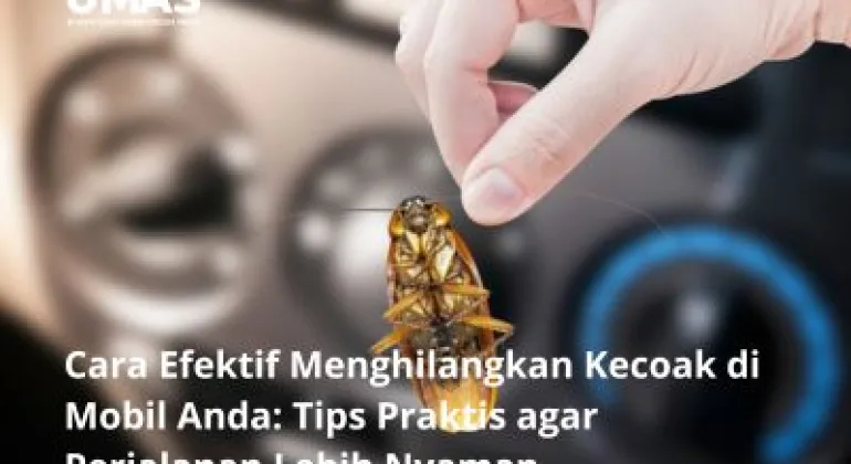 Cara Efektif Menghilangkan Kecoak di Mobil Anda: Tips Praktis agar Perjalanan Lebih Nyaman