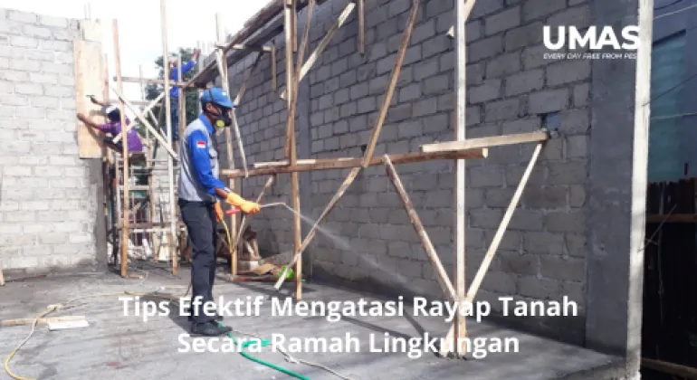 Tips Efektif Mengatasi Rayap Tanah Secara Ramah Lingkungan