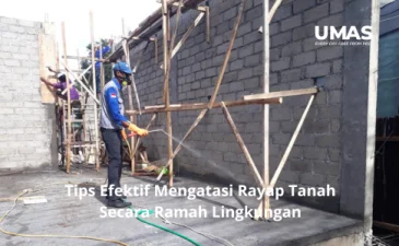~blog/2023/6/26/tips efektif mengatasi rayap tanah secara ramah lingkungan