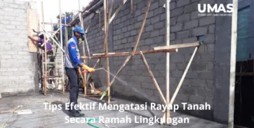 Tips Efektif Mengatasi Rayap Tanah Secara Ramah Lingkungan