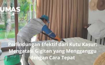 ~blog/2023/6/30/perlindungan efektif dari kutu kasur mengatasi gigitan yang mengganggu dengan cara tepat